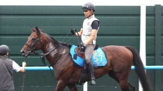 【札幌記念・データ埋蔵金】Ｇ１馬不在の今年は荒れる！？　好走を後押しする前走データから９歳馬を馬券の軸に指名