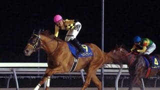 【北海道スプリントＣ】地元のベストグリーンがＪＲＡ勢を撃破　落合玄太騎手は当レース３勝目「これからも中央馬を相手に強い競馬を」