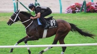 【キーンランドＣ・１週前】エイシンディードは仕掛けられて力強く伸びる　川又賢治騎手「集中していた」