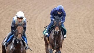 【新潟２歳Ｓ・１週前】初陣３馬身差Ｖのレッチュベルクに田辺節で高評価「ラッキーで新馬を勝った馬ではない」