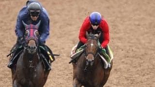 【新潟２歳Ｓ・１週前】シャンデヴァーグは鋭い加速で１馬身先着　津村明秀騎手「落ち着きがあって雰囲気はいい方に来ている」