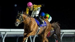 【門別・北海道スプリントC結果】地元のベストグリーンがJRA勢を撃破！DG初制覇で重賞4勝目を飾る