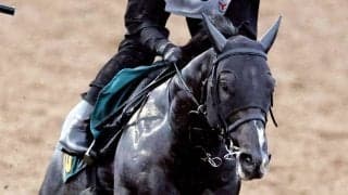 【ＰＯＧ談義】現場記者が「弱点ない」と聞いた良血馬が新潟で初陣　中京は動き目立つロードカナロア産駒で「勝負！」
