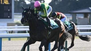 【中京記念枠順確定】サトノシャイニングは6枠12番、リリージョワは5枠9番