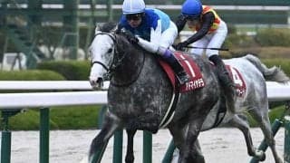 【札幌記念枠順確定】アドマイヤテラは5枠10番、ショウヘイは4枠7番