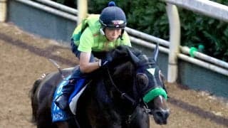 【中京記念】サトノシャイニングとコレット騎手は６枠１２番　ナムラコスモスと田口貫太騎手は５枠１０番に決定
