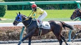 【新潟JS枠順確定】プラチナドリームは6枠6番、ブラックボイスは4枠4番