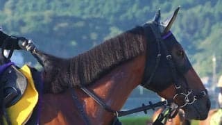 【注目馬動向】初来日の「インドのマジックマン」スラジ・ナレドゥ騎手とコンビ　イツモニコニコはキーンランドＣへ
