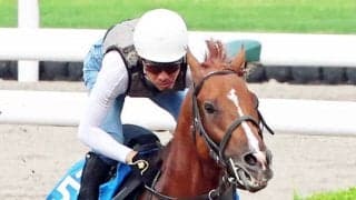 【札幌記念・金曜気配】シェイクユアハートは角馬場で運動してから札幌へ輸送　宮調教師「自分の競馬ができたらいいね」