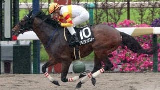 【報知杯大雪ＨＣ】前走１１番人気３着のプロミシングスターが昇級狙う　陣営「能力は出せるのでは」