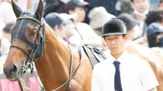 前走1着馬が不振の札幌記念 グランディア＆ゼンダンハヤブサがジンクス克服に挑戦だ