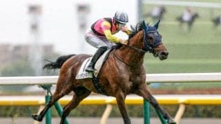 【新潟2歳S想定馬・騎手】レッチュベルク、シャンデヴァーグなど7頭