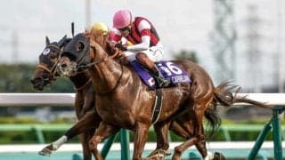 【キーンランドC想定馬・騎手】ウインカーネリアン、パンジャタワーなど19頭