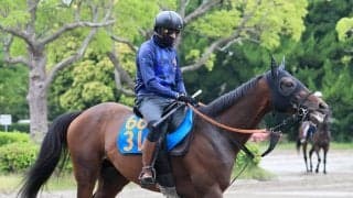【注目馬動向】目黒記念２着のウィクトルウェルスはオールカマーへ