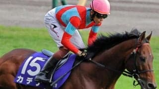 カデナ産駒がJRA初勝利なるか 「競輪界のレジェンド」山田裕二オーナーのミライショウグンが初陣だ