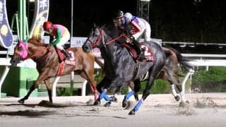 【阪神アーバン競馬・摂津盃】３番人気オマツリオトコが復活星　２２年兵庫ジュニアグランプリ以来のタイトル