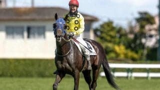 【今日の注目ポイント】新潟JSでプラチナドリームが重賞初制覇を狙う