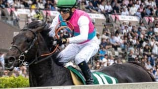二冠馬ロブチェンの半兄 ブラックボイスが新潟JSで重賞初制覇狙う