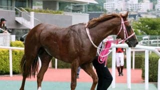 【１５日の注目・中京８Ｒ】２冠牝馬チェルヴィニアの弟・チェルヴァーラが出走　菊花賞を目指すために負けられない一戦