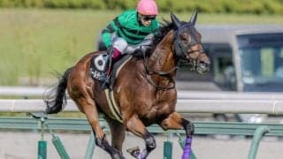 高山Sの穴馬候補は？ 血統＆生産者に注目