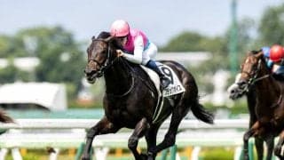 【新潟JS予想】置き障害の新潟3250m 障害間の距離長くスピード勝負になる重賞