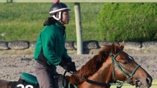 【１５日の注目・札幌１２Ｒ】“あっくん”アーレムアレスとミッキーファルコンの３歳素質馬対決