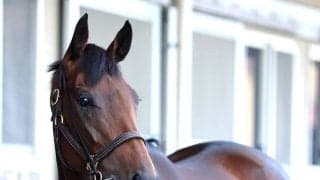 【注目馬動向】レガレイラは昨年と同じオールカマーで秋始動　サンデーサラブレッドクラブが発表