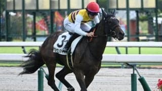 【中京3R新馬戦結果】カラヴァッジオ産駒セイウンマイラヴが逃げ切り勝ち