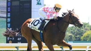 【新潟３Ｒ・２歳新馬】モーリス産駒ピコベリーが初陣Ｖ　津村明秀騎手「楽しみ」　圧倒的１番人気のリボンロードは５着
