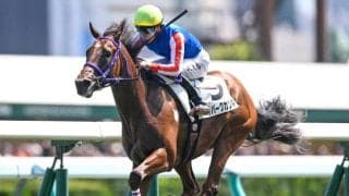 【札幌5R新馬戦結果】ビッグアーサー産駒ジオパークカツキが人気に応えて快勝