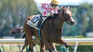 【新潟3R新馬戦結果】モーリス産駒ピコベリーが突き抜け快勝