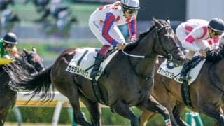 【新潟2R新馬戦結果】5番人気カナデルペガサスがV ステルヴィオ産駒のJRA初勝利