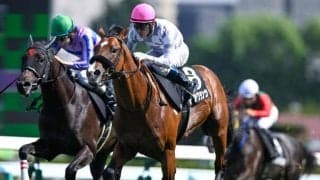 【コスモス賞結果】デアグランツが人気2頭の一騎打ちを制し無傷2連勝