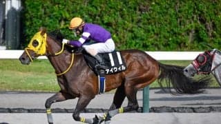 【JRA・WIN5】本日のWIN5は的中1586票、配当19万7860円
