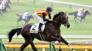 【注目馬動向】絶好調のエフフォーリア産駒が芙蓉Ｓへ　叔父にクロワデュノールがいるジョドレルバンクの次走候補に
