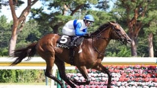 衝撃レコードⅤで菊花賞路線へファンの期待大「かなりの大物」「ロブチェン討伐」　ロードフィレールが新潟で逃走Ⅴ