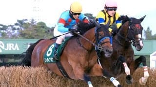 【新潟ジャンプＳ】ローディアマントが手に汗握る攻防を首差制す　伴啓太騎手「僕の馬が一番強いと思って乗った」