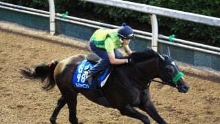 【中京記念・土曜気配】初マイルで１２番枠のサトノシャイニング　杉山晴調教師「内に越したことはないですが…」