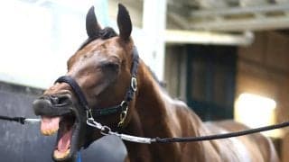 【中京記念・土曜気配】重賞２勝目狙うキープカルムは「師弟コンビ」　弟子には「チャンスをモノにしてほしい」