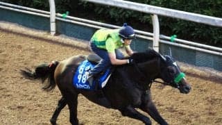 【中京記念】３連単は１番人気が９８・８倍の混戦ムード！　単勝１番人気は４・１倍でサトノシャイニング