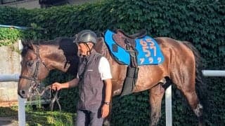 【札幌記念・土曜気配】２回連続で人気より激走しているアラタが再び波乱を呼び込む　陣営「適性に期待したい」