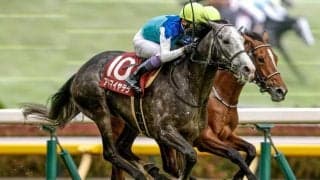 【AI予想・札幌記念】前走GIで上位争いした馬を素直に評価すべき一戦！ 今年のメンバーなら堂々の主役と言える人工知能の本命馬