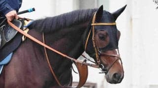 【１６日の注目・札幌１２Ｒ】前走が衝撃の圧勝劇！　３億９０００万円馬ダノンヒストリーが２連勝を狙って登場　