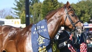 【今日の注目ポイント】札幌記念と中京記念　フランスではジャックルマロワ賞