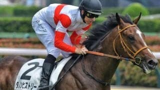 前走が圧巻の大差勝ち ダノンヒストリーが阿寒湖特別で連勝狙う