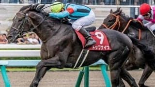 札幌記念は1番人気が惜敗中 前走国内GI組に注目だ