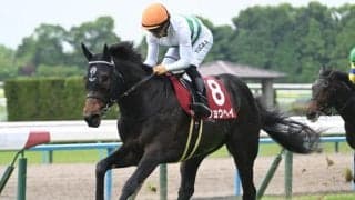 【札幌記念予想】秋GI狙う実績馬が始動 持続力問われる札幌2000m