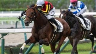 タッチングスピーチの4番仔 ヴィジョンメーカーが約半年ぶりの復帰戦だ