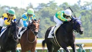 【新潟１Ｒ・２歳未勝利】２番人気のサトノスプレマシーが鼻差で初勝利　田辺裕信騎手「使った上積みもありました」