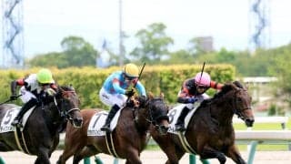 【中京３Ｒ・２歳新馬】単勝１・５倍の１億円馬ホウオウワールドが鼻差勝利　Ｊコレット騎手「距離は延びていいと思う」